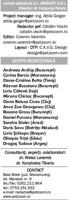 contacte